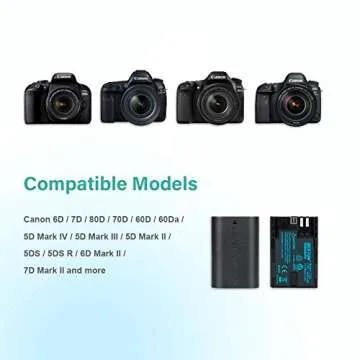 BESTON 2-Pack of LP-E6N Batteries and Dual Battery Charger for Canon EOS R, R5, EOS 60D 70D 80D 90D, 5D Mark II, 5D Mark III, 5D Mark IV, 6D Mark II, 7D Cameres
