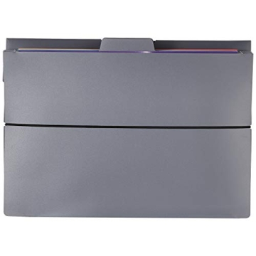 Amazon Basics 6 Pocket File Folders for Easy Organization
