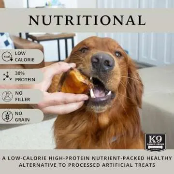 K9 Connoisseur Dog Bones Made in USA for Small and Medium Breed Dogs Natural Long Lasting Meaty Beef Knee Cap Bone Treats Best for Dogs Upto 50 Pounds 1 Pack 3 Count