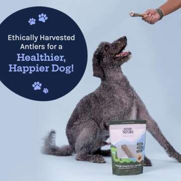 Good Trouble Elk Antlers for Dogs - Durable Dental Chews