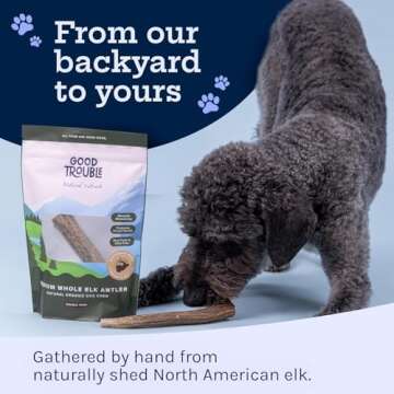Good Trouble Elk Antlers for Dogs - Durable Dental Chews
