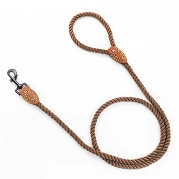 Mile High Life Braided Cotton Rope Dog Leash with Leather Tip
