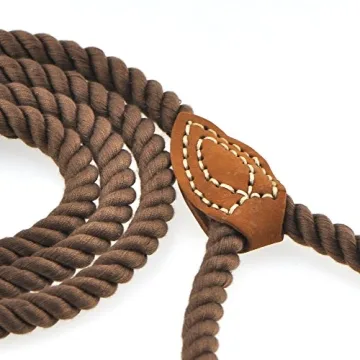 Mile High Life Braided Cotton Rope Dog Leash with Leather Tip