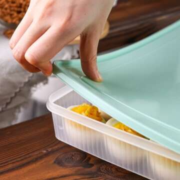 HAKSEN 2PCS Deviled Egg Containers with Lid, Portable Storage Carrier Egg Holder Deviled Egg Tray for Refrigerator Easter Party Holding 48 Eggs