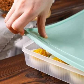 HAKSEN 2PCS Deviled Egg Containers with Lid, Portable Storage Carrier Egg Holder Deviled Egg Tray for Refrigerator Easter Party Holding 48 Eggs