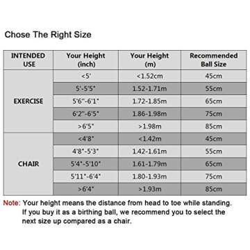 Trideer Yoga Ball - Anti-Burst & Slip Resistant for Workouts