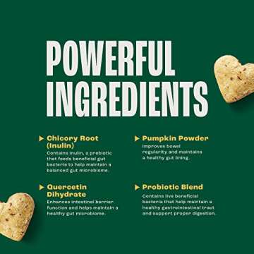 Furtify Probiotics for Dogs - Pet Probiotic & Gut Health Supplement with Prebiotics, Fiber, Chicory Root & Pumpkin I Diarrhea, Gut Flora & Digestive Support, 6 Strain Pre & Probiotic Dog Chews, 90 ct