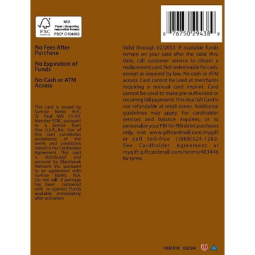 Visa $25 Gift Card with $3.95 Purchase Fee - Shop Anywhere