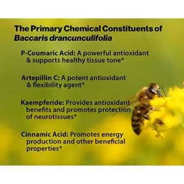 Dr. Ohhira's Propolis Plus with Brazilian Green Propolis, 120 Capsules