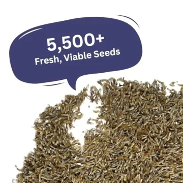 SunHaven Seeds Blue Cornflower – 5,500+ Seeds in 1 oz Packet