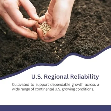 SunHaven Seeds Blue Cornflower – 5,500+ Seeds in 1 oz Packet