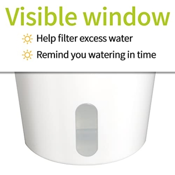 Self Watering Pots Set with Water Level Indicator