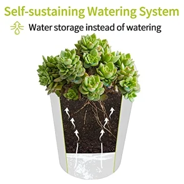 Self Watering Pots Set with Water Level Indicator