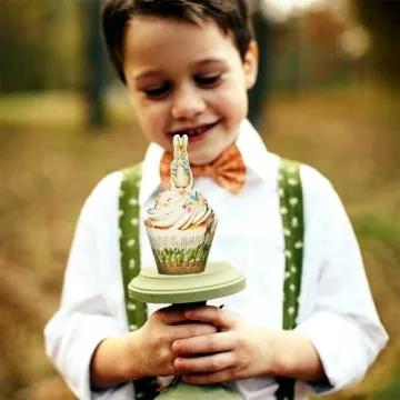 Peter Rabbit Cupcake Decorations - Whimsical Party Supplies