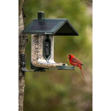 Smart Bird Feeder with HD Capture and Solar Power