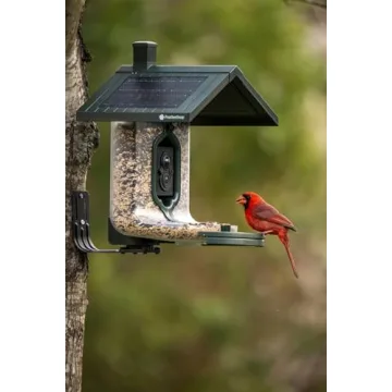 Smart Bird Feeder with HD Capture and Solar Power