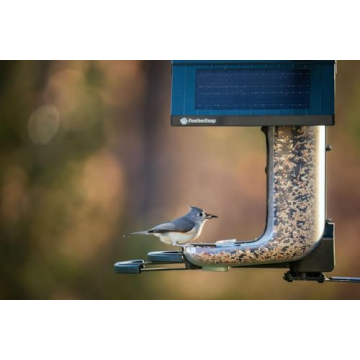 Smart Bird Feeder with HD Capture and Solar Power