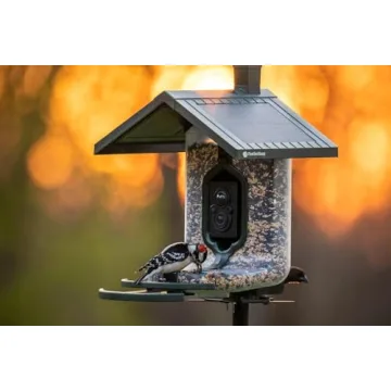 Smart Bird Feeder with HD Capture and Solar Power