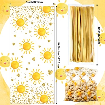 100 Pcs Boho Treat Bags for Celebration & Parties