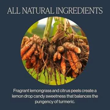 Rishi Tea Turmeric Ginger Herbal Tea - Organic Loose Leaf