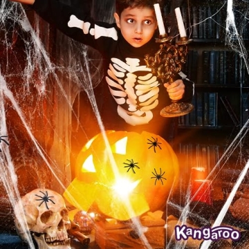 Premium 200 sq. ft. Spider Webs for Halloween Decor