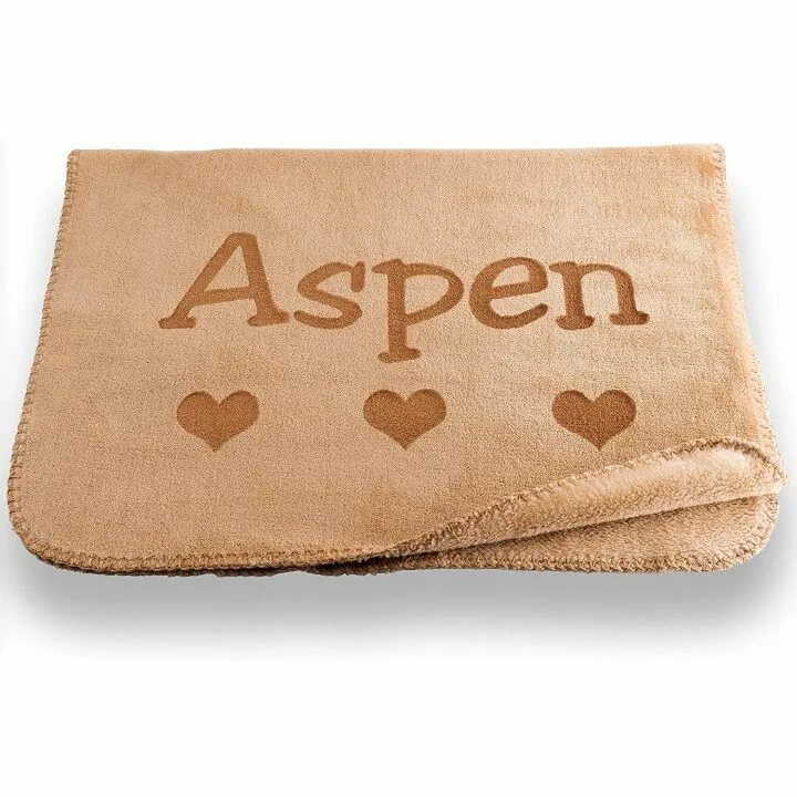 Personalized Small Dog Blanket - Gray or Beige
