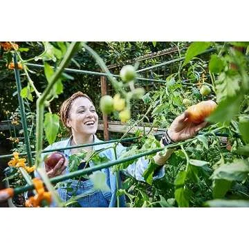 Plant Support Clips | Tomato Cage Connectors for Trellis, Garden Stakes, Wire Fence, Climbing Plants, Vine, Gardening, Indoor Plants & Hydroponics Growing (Tangerine Orange - 100 Pack)