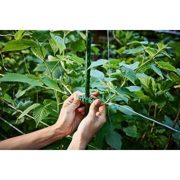 Plant Support Clips | Tomato Cage Connectors for Trellis, Garden Stakes, Wire Fence, Climbing Plants, Vine, Gardening, Indoor Plants & Hydroponics Growing (Tangerine Orange - 100 Pack)