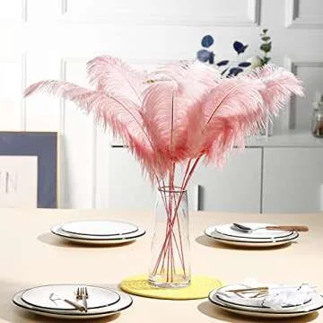 Ballinger Lotus Pink Ostrich Feathers - Making Kit 10Pcs 28 inch Long Ostrich Feathers Bulk for Wedding Party Centerpieces, Vase Floral Arrangement and Home Decor