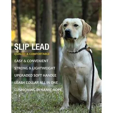 lynxking Slip Lead: Durable Dog Leash for Training & Walks