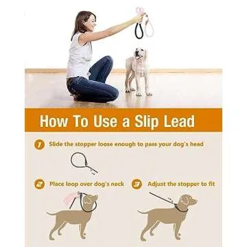 lynxking Slip Lead: Durable Dog Leash for Training & Walks