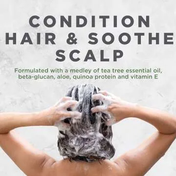 Avalon Organics Conditioner Scalp Treatment Tea Tree, 32 oz