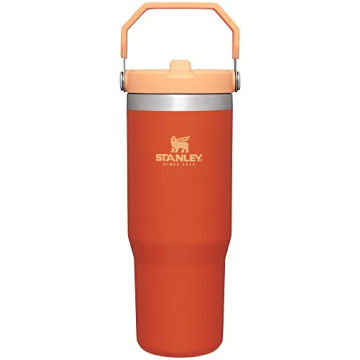 Stanley IceFlow Stainless Steel Tumbler with Straw - Vacuum Insulated Water Bottle for Home, Office ...