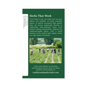 Traditional Medicinals Organic Spearmint Tea 16 Bags