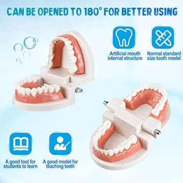 Skylety 2 Set Dentist Kit for Kids Dentist Play Set Dental Teeth Model with Toothbrush Child Dental Educational Card Standard Size Fake Brace Demonstration Teaching for Children Student(Simple Style)