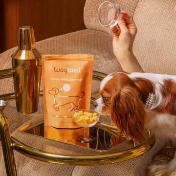 WagWell Freeze Dried Cheese Dog Treats - Grain-Free, High-Protein Pasteurized Dog Treats Made in The USA - Human-Grade, Minimally Processed & Preservatives Free