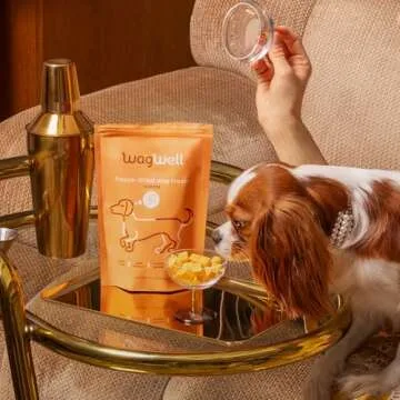 WagWell Freeze Dried Cheese Dog Treats - Grain-Free, High-Protein Pasteurized Dog Treats Made in The USA - Human-Grade, Minimally Processed & Preservatives Free