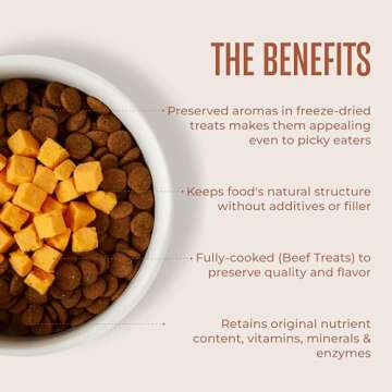 WagWell Freeze Dried Cheese Dog Treats - Grain-Free, High-Protein Pasteurized Dog Treats Made in The USA - Human-Grade, Minimally Processed & Preservatives Free