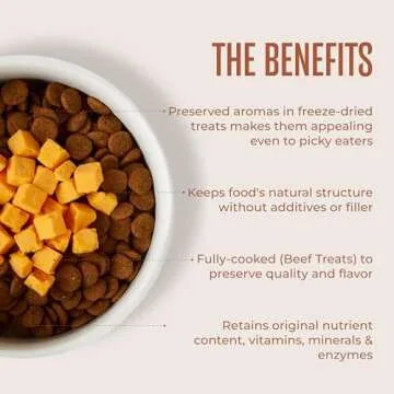 WagWell Freeze Dried Cheese Dog Treats - Grain-Free, High-Protein Pasteurized Dog Treats Made in The USA - Human-Grade, Minimally Processed & Preservatives Free