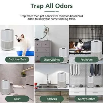 Core P350 Pet Care Replacement Filter for LEVOIT Core P350 Pet Care Air Purifier, 3-in-1 H13 True HEPA Filter Replacement, Part # Core P350-RF, 2 Pack