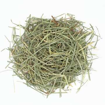 Oxbow Animal Health Orchard Grass Hay - All Natural Grass Hay for Chinchillas, Rabbits, Guinea Pigs, Hamsters & Gerbils - 50 lb.