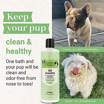 Frankie & Paisley Dog Shampoo for Allergies and Itching | Made with Plant-Based Hemp Seed Oil, Aloe, Coconut Oil | Puppy Shampoo for Sensitive Skin | Sulfate Free Shampoo and Paraben Free - 16 FL OZ