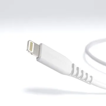 Amazon Basics Lightning Cable 10ft - Durable & Fast Charging