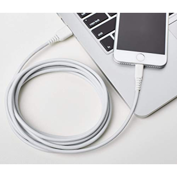 Amazon Basics Lightning Cable 10ft - Durable & Fast Charging