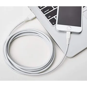 Amazon Basics Lightning Cable 10ft - Durable & Fast Charging