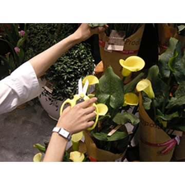 Flower Scissors Hand Creation F-170 for Easy Flower Arranging