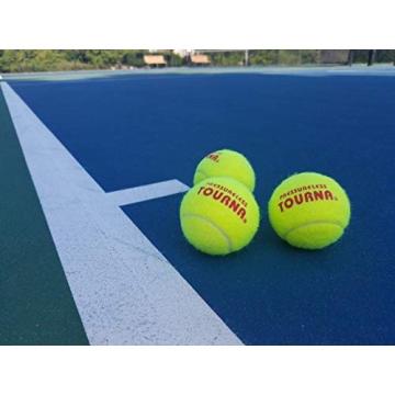 Durable Tourna Tennis Balls for Playful Pets and Players