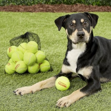 Durable Tourna Tennis Balls for Playful Pets and Players