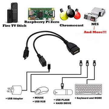 AuviPal 2-in-1 Micro USB to USB Adapter (OTG Cable + Power Cable) for Fire Stick, PlayStation Classic and More - 2 Pack
