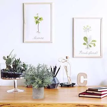 Mini Potted Artificial Eucalyptus Plants Set of 3 for Home
